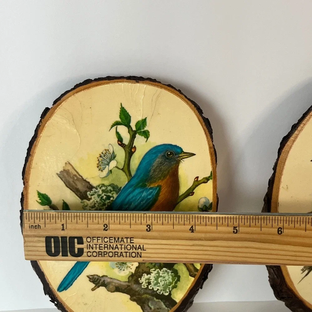 Vintage P.H. Gonner Bird Wood Slice Wall Plaques Set Bluebird Goldfinch Kinzua